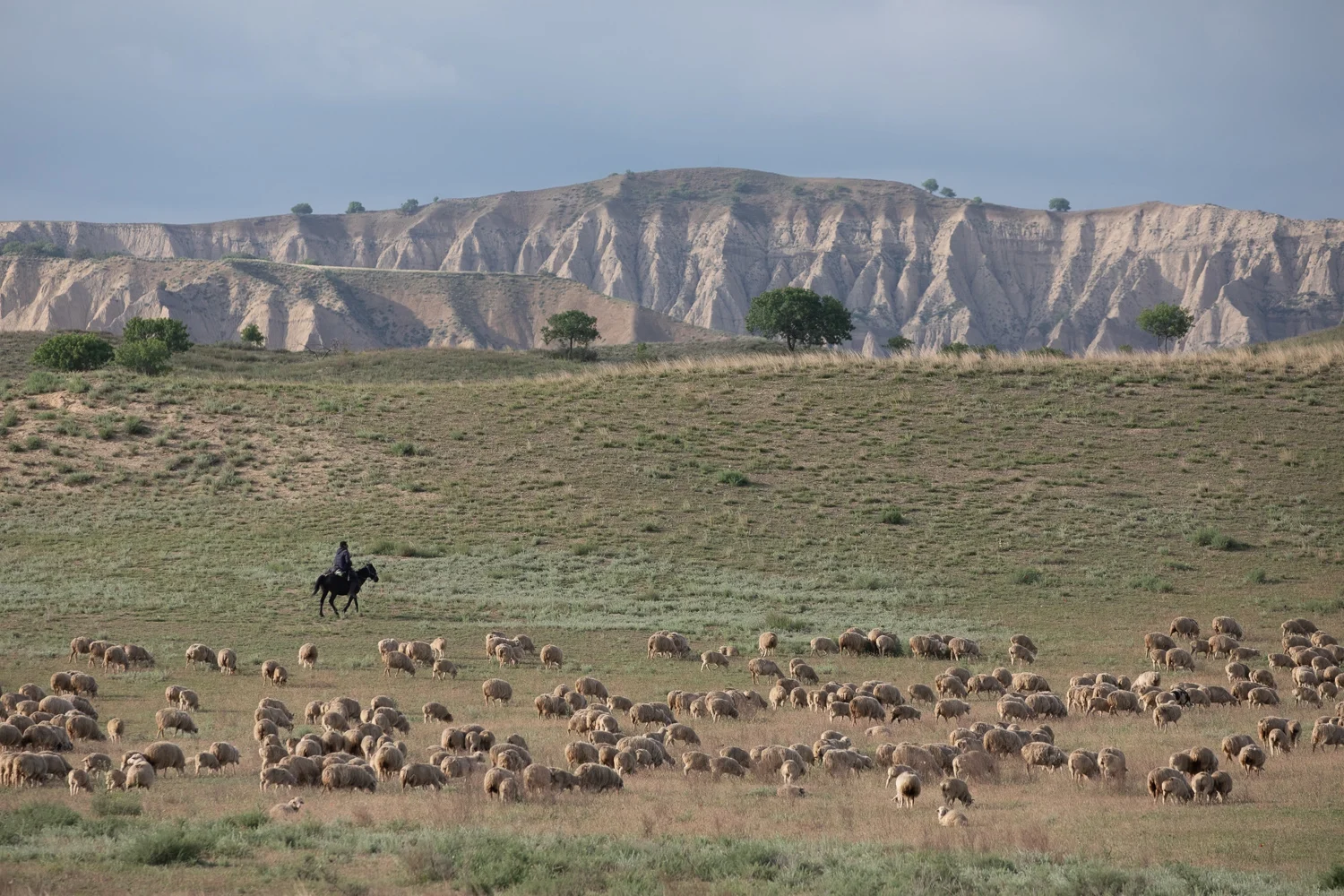 horse-riding-vashlovani Vashlovani national park Vashlovani jeep tour