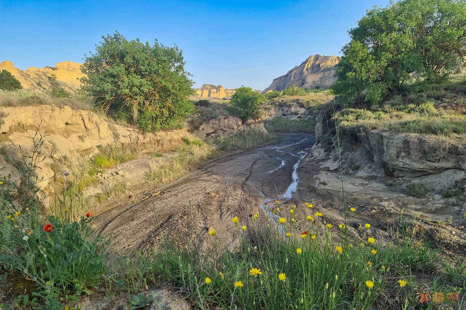 mijniskure-wilderness-travel-river-bed-walk-vashlovani-georgia
