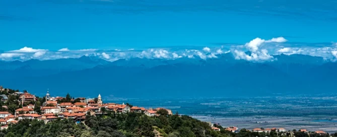 Signagi view
