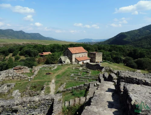 Dmanisi Sioni Church: Medieval Cathedral in Georgia’s Ancient City