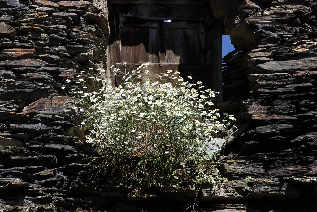 Nature in Tusheti
