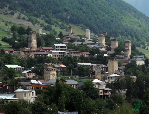 Mestia Travel Guide: Towers, Museums, Mountains and Where to Eat